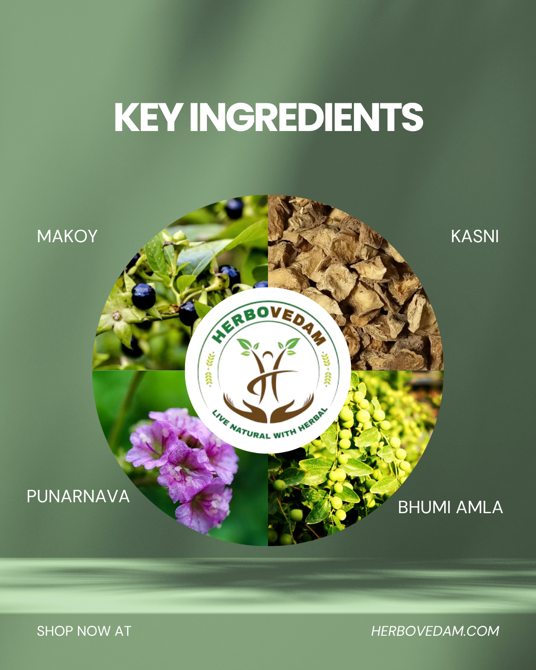 Liver Detox Kit – Supports Liver &amp; Detoxification