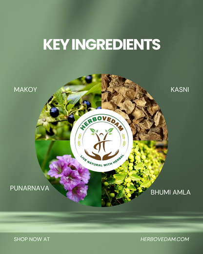 Liver Detox Kit – Supports Liver &amp; Detoxification